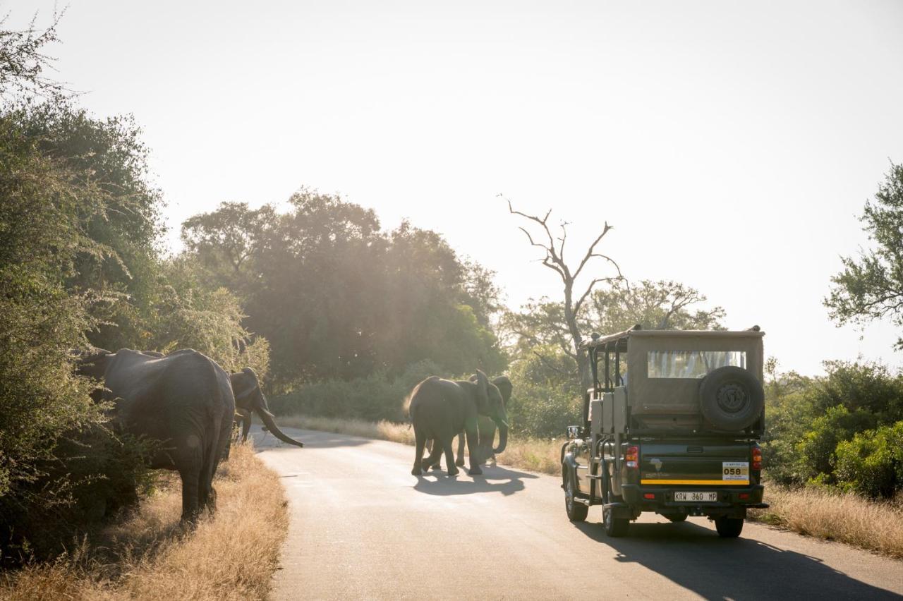 Nkuhlu Tented Camp Skukuza Kültér fotó