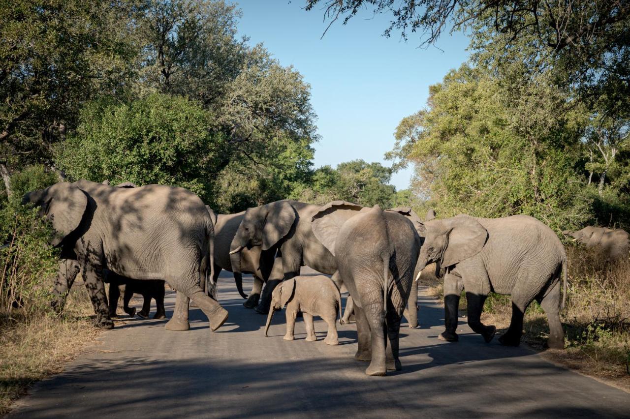 Nkuhlu Tented Camp Skukuza Kültér fotó