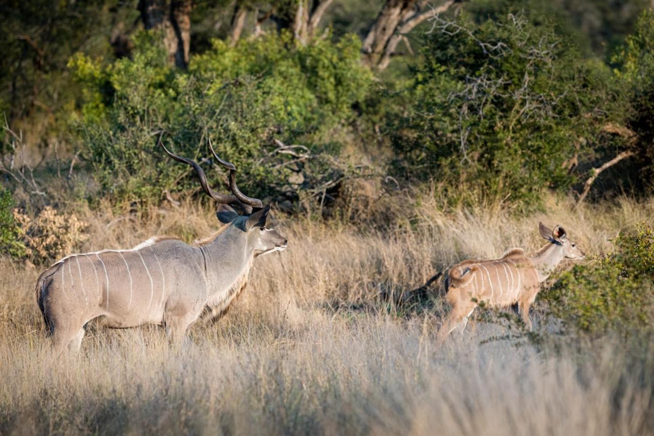 Nkuhlu Tented Camp Skukuza Kültér fotó