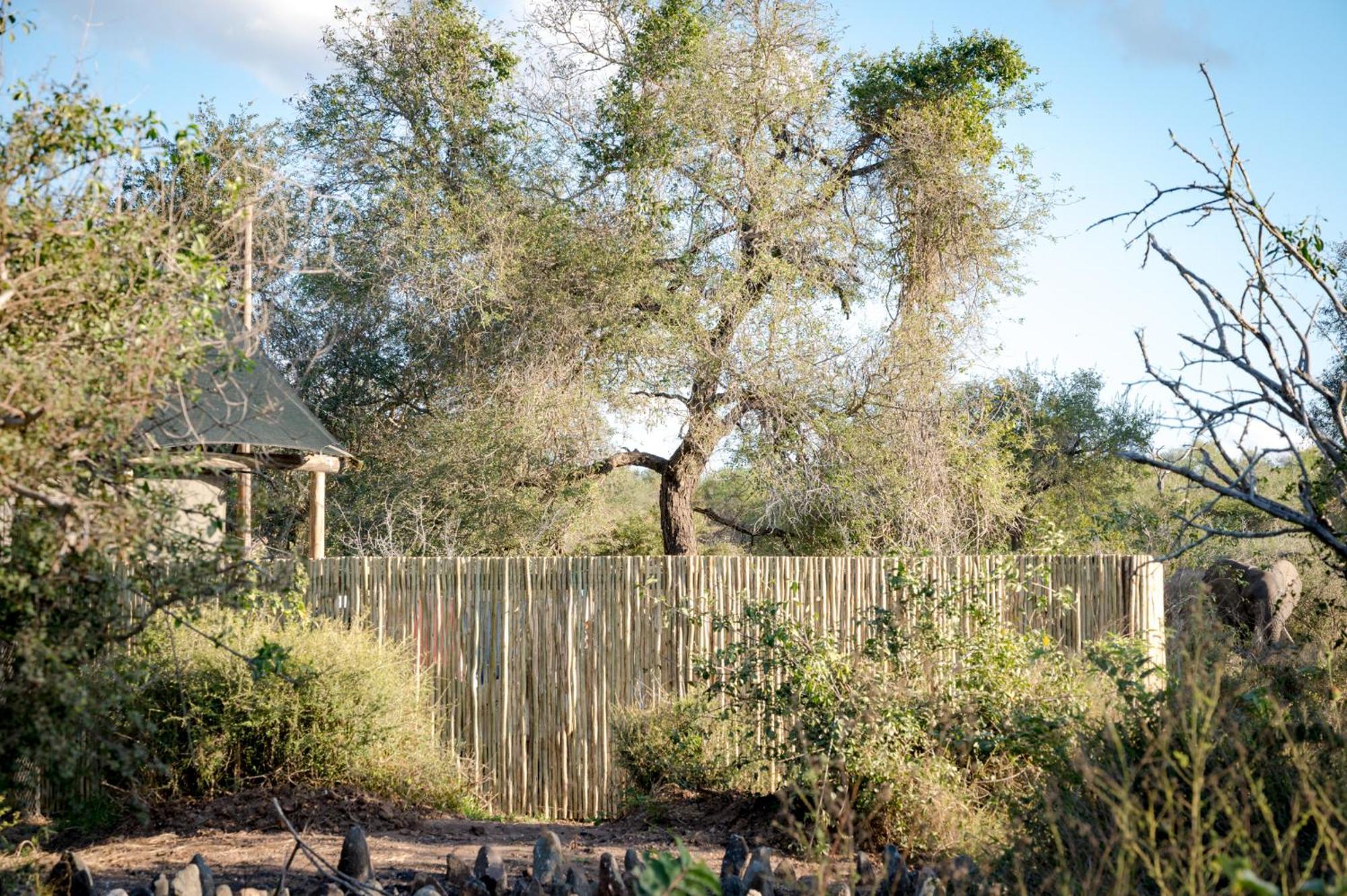 Nkuhlu Tented Camp Skukuza Kültér fotó